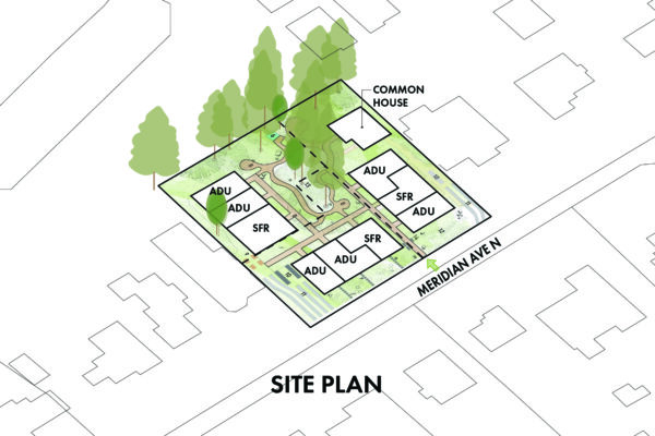 Towering Trees Diagrams -04 Towering Trees Diagrams -04