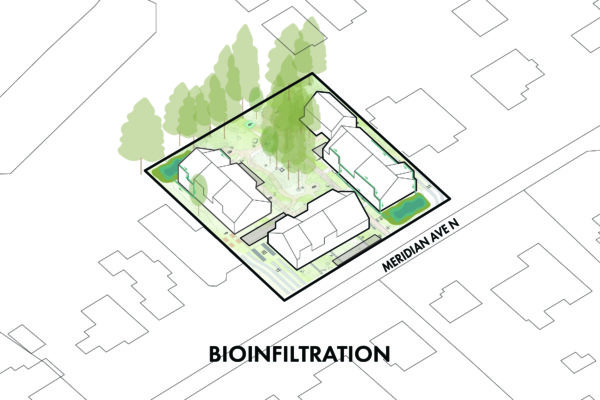 Towering Trees Diagrams -07 Towering Trees Diagrams -07